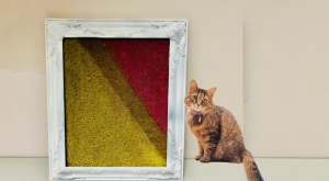 Photo: Cat Scratch Picture Frame